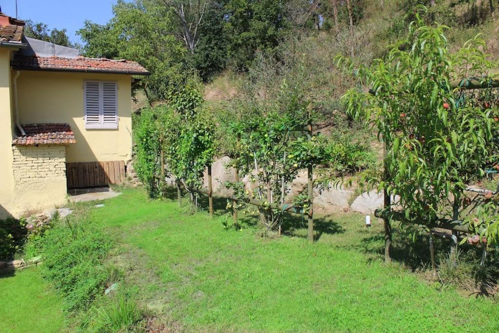 Casa Barulli - Tuscany ซาน จิโอวานนิ วาลดาร์โน ภายนอก รูปภาพ
